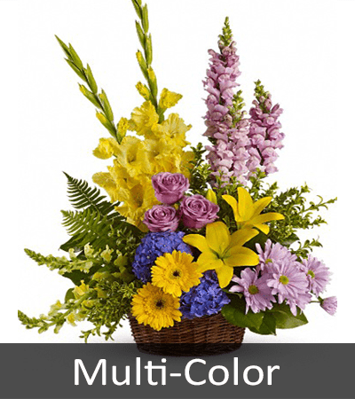 Multi-Color